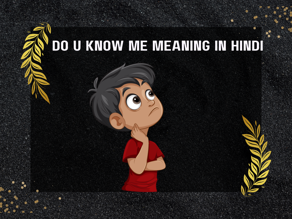 Do You Know Me Meaning in Hindi