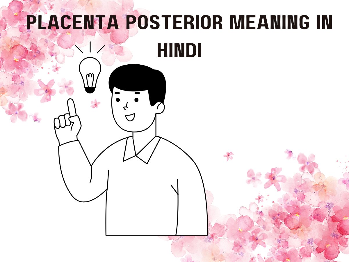 Placenta Posterior Meaning In Hindi