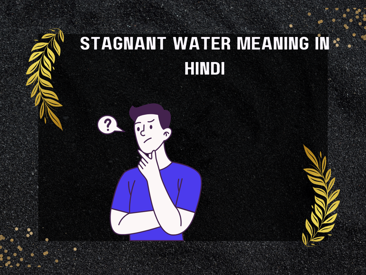 Stagnant Water Meaning in Hindi